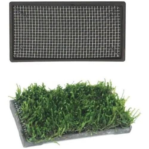 Ista Plants Base Ceramic 5x10 cm cm Rectangle 244226663