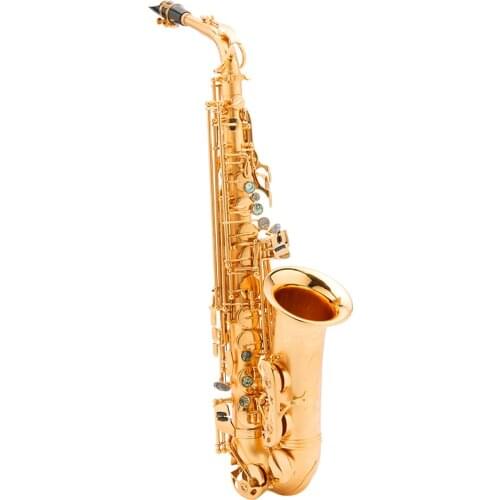 FLOFAIR FAS-866 Saxophone E Flat Instrument Copper Electrophoretic Paint hand Carved adult Performance Free Sax Accessories