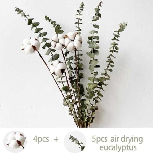 Natural dried flowers Rabbit Tail pampas grass Lagurus Ovatus Fresh Eucalyptus Branches dried cotton flowers billy-Ball flowers