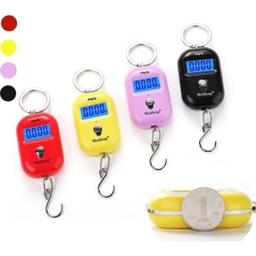 25Kg X 5g Keychain Scale Mini LCD Portable Electronic Hanging Hook Scale Digital Pocket Scale for Fishing Luggage Travel 40% off