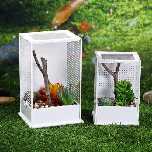 Acrylic Reptile Feeding Box Transparent Insect Box Mantis Breeding Box Insect Reptile Cage Terrarium Feeding Box