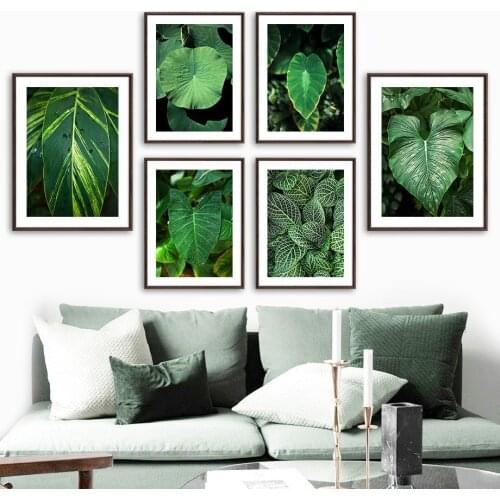 Lotus leaf Calla Lily Taro Dieffenbachia Wall Art Canvas Painting Nordic Posters And Prints Wall Pictures For Living Room Decor
