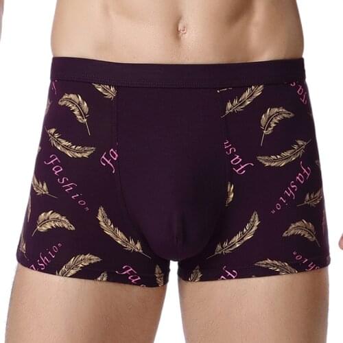 TJ-TianJun Men's Briefs With Print