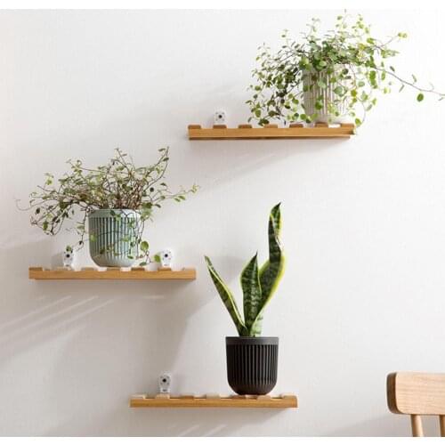 Easy Installation 1 Set Practical Wall Hanging Plant Storage Rack Load Bearing Flower Shelf Wear-resistant for Garden