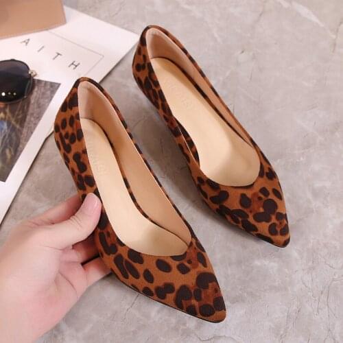 LEVPAIRS Women's Shoes With A Glass Heel