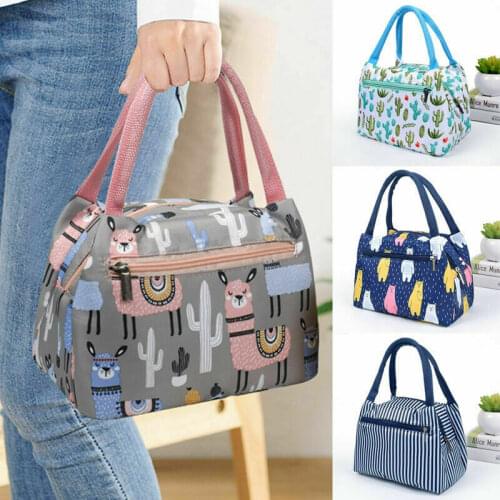 Women Girls Outdoor Camping Work School Cute Casual Cartoon Animal/Striped Waterproof Canvas Insulated Lunch Bag Panic Bags