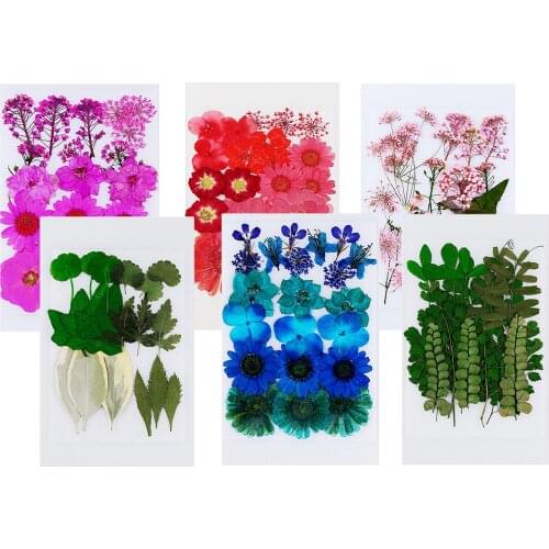 Pressed Leaves Collections Organic Natural Dried Flowers DIY Resin Crafts