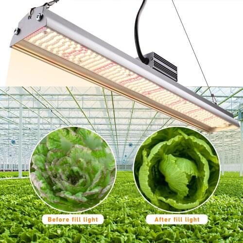 260W High Efficiency Full Spectrum Warm White Led Grow Light Bar Indoor Tent Garden Hydroponics Vertical Farming Phyto Lamp