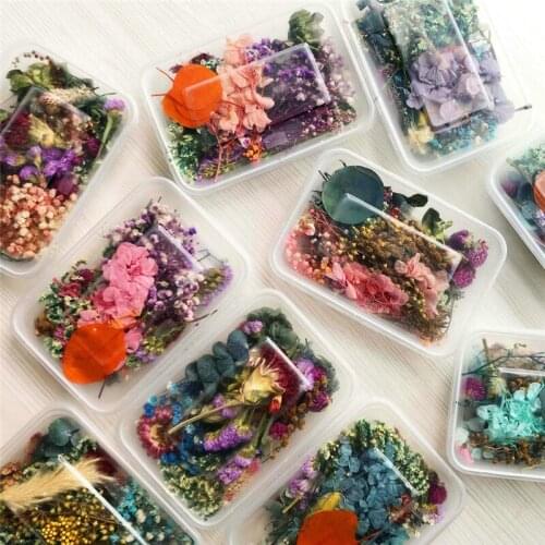 1 Box Natural Dried Flower Dry Plants for DIY Epoxy Resin Charm Pendant Aromatherapy Candle Jewelry Making Craft Accessories