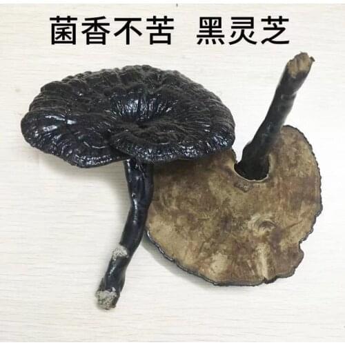 500g/1000g Natural high quality Ganoderma Ganoderma lucidum Black Ganoderma free delivery
