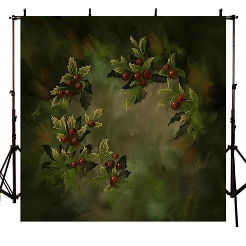 Avezano Christmas Newborn Portrait Photography Props Green Holly Red Fruits Backdrop Puerpera Baby Shower Photo Background Booth