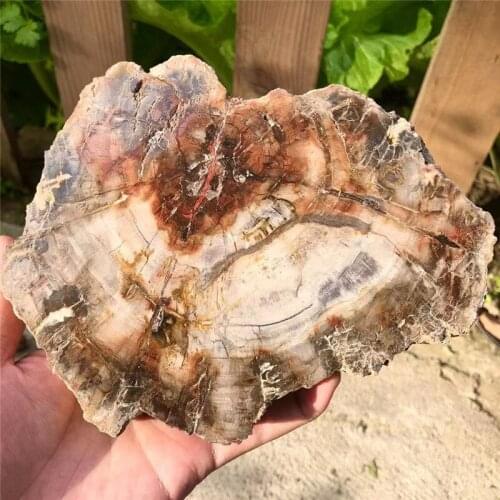 Natural wood fossil stone raw stone natural quartz crystal specimen slice crystal slab for decoration or coaster