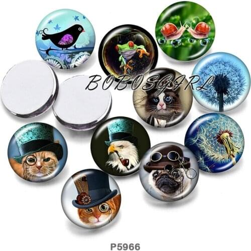 Cat Punk 12mm18mm 20mm Snap button jewelry DIY Bracelet Round photo glass cabochons P6110
