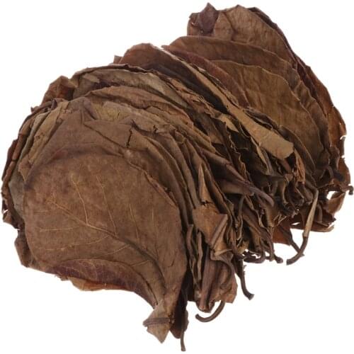 Игрушки для животных HNGCHOIGE China At AliExpress