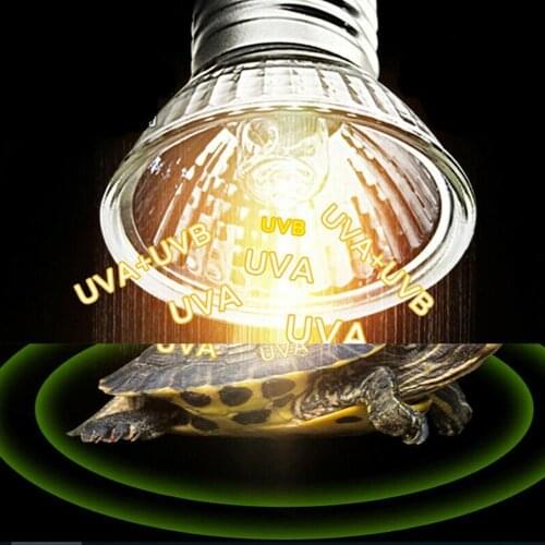 25/50/75W UVA UVB 3.0 Reptile Lamp Bulb Turtle Basking UV Light Bulbs Heating Lamp Amphibians Lizards Temperature Controller