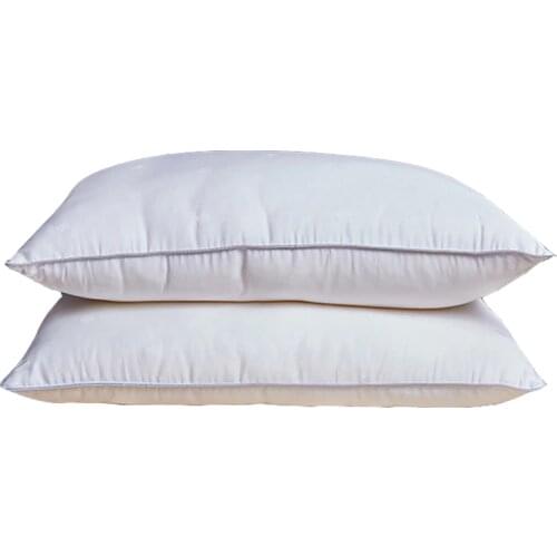 48*74Cm Mulberry Silk Neck Pillows For Sleeping Natural Silk Filling Jacquard Anti Mite Soft Health Care Hotel Bedding Pillows