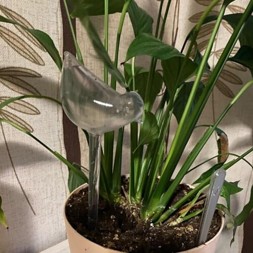 Irrigation Bird Star Shaped Automatic Plant Watering Bulb Device Transparent Lazier Household Gardening Accessories