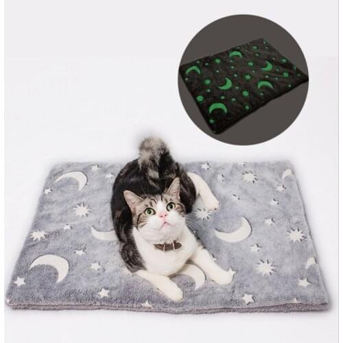 Winter Glow In The Dark Cat Blanket Anti-slip Soft Pets Cushion Autumn And Winter Cats And Dogs Universal Luminous Blanket