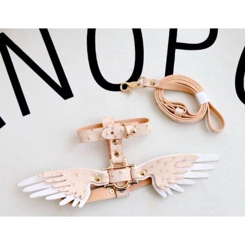 Wing Dog Collars PU Leather Pet Collar Leash Lead For Small Medium Dog Cat Pet Harness Adjustable Dog Leash Dog Leash Harness