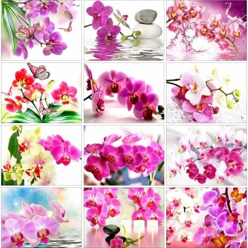 EverShine Diamond Embroidery Flowers Rhinestones Art Diamond Painting Orchid Cross Stitch Handmade Bead Picture Kits Home Decor