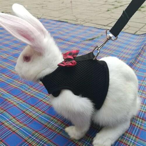 Pet Mesh Soft Harness With Leash Small Animal Vest Lead for Hamster Rabbit Bunny JDH88