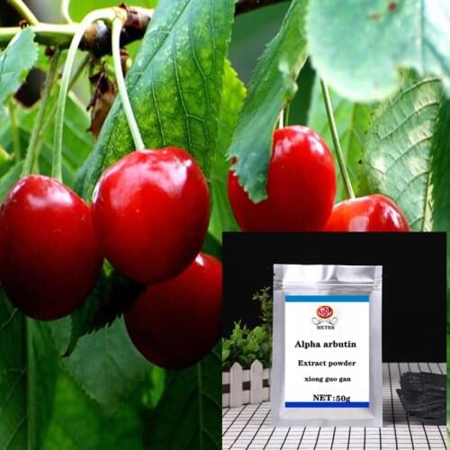 2021 Hot sale Alpha arbutin powder for skin whitening supplement face body glitter Anti-aging free shipping