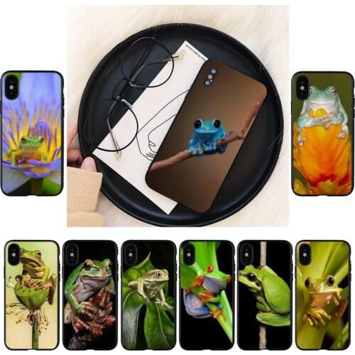 YNDFCNB frog Animals Phone Case For iPhone 8 7 6 6S Plus 5 5S SE 2020 12pro max XR X XS MAX 11 case