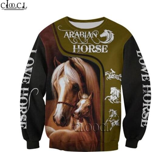 HX Arabian Horse 3D Print Hoodie For Men Women Harajuku Fashion Animal Sweatshirt Casual Jacket Pullover Tracksuit Drop Shipping