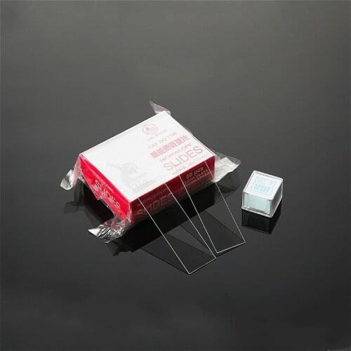 Microscope Slides Clear Glass Ground Edges Square Coverglass For Growth Cover Glasses Coverslip 24 x 24mm 150 / PK