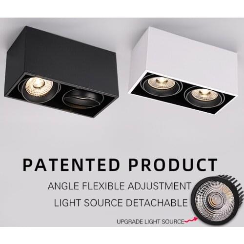 Puluoti Double Head Adjustable Angle Clothing Store Ceiling Lamp Surface Spotlight