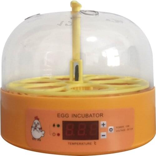 Товары для рептилий TAILUP China At AliExpress