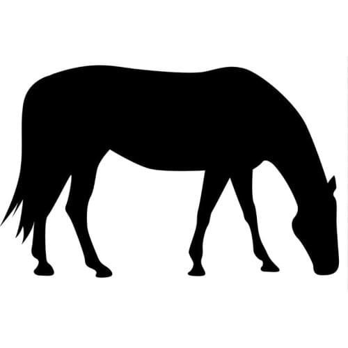 14cm*8.8cm Cute Horse Animal Car Stickers Fashion Decorative Car Window Glass Decal Sticker S6-2835