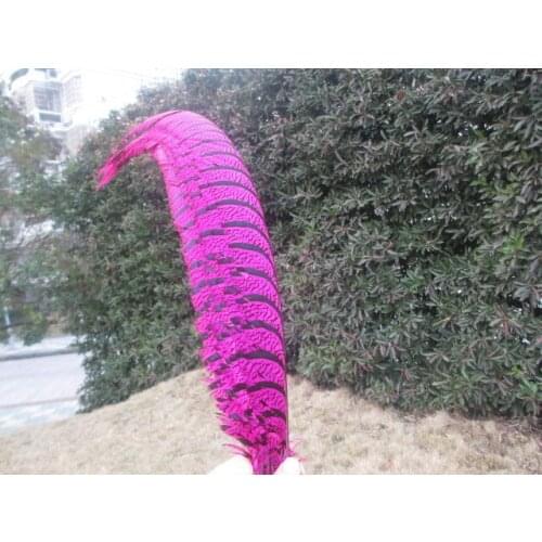 Wholesale 20 pcs rare rose golden pheasant tail feather cover 32-36 inches / 80-90 cm show party decoration