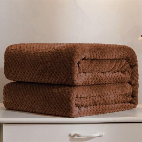 Winter Solid Color Flannel Blankets Soft Fluffy Thicken Coral Fleece Throw Warm Bed Linens Sofa Cover Bedspread Blankets For Bed