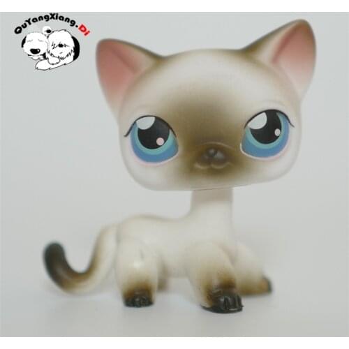 CWM085 Pet Shop Animal Milky gradient cat kitten doll action Figure