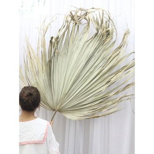 Flores secas grandes, hojas secas artificiales, plantas de Palma, hoja de ventilador de girasol, decoracion del hoga