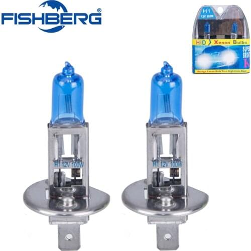 FISHBERG Xenon Lamps
