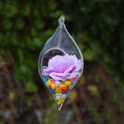 6pcs/pack 10*18cm Big Size Hanging Glass Vase Home Decoration Flesh Flower Plant Transparent Terrarium Wedding Prop