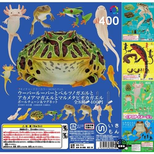 KITAN Gashapon Toys NTC Amphibious Frog Atlas Horned Frog Salamander Toad Simulation Model Ornaments Toys