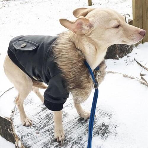 Luxury Puppy Leather Jacket Winter Doggie Coat Warm Fur Collar Dog Clothes Thick Cotton-Padded Apparel For Small Pet Dog