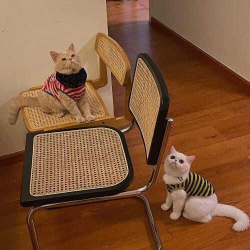 Spring Summer Autumn Thin Sweater Dog Cat Clothes Kitten Clothes Cute Vest Cute Cat Suit Teddy Dogs