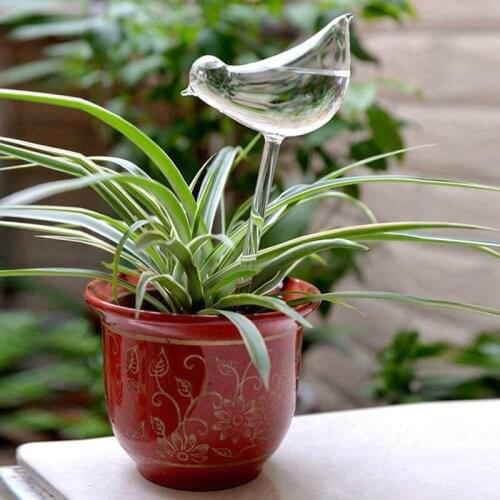 25CM x10CM 1Pc Plant Waterer Self Watering Globes Bird Shape Hand Blown Clear Glass Aqua Bulbs Vases Decoration