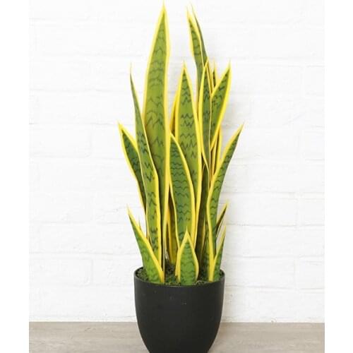 DIY artificial Sansevieria trifasciata big size tropical plant high quality hand feeling green succulents gift home decoration