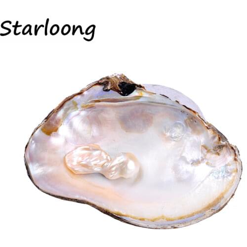 1pc 11*17cm AA quality natural fresh water pearl oyster clam shell for jewelry crafts