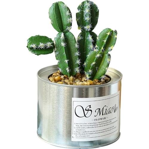 Cactus Pot Bonsai Plant Living Room Home Decoration Fake Flower Artificial Plants Plastic Cactus Ball Desktop Decorations