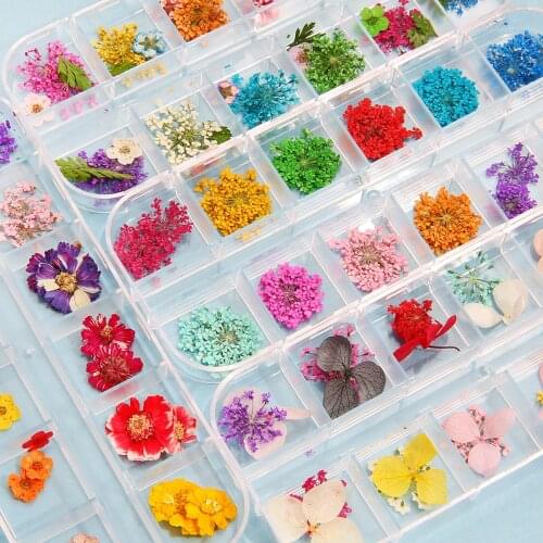 1Box Dried Flowers Dry Plants for Resin Molds Fillings Epoxy Resin Pendant Necklace Jewelry Making Craft DIY Nail Art Decoration