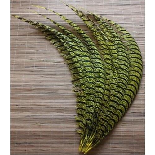 NEW 10PCS Lady Amherst Pheasant yellow 32-36inch/80-90cm feathers, drama performances