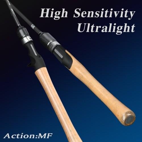 TSURINOYA Fishing Rod DRAGON 1.89/1.98/2.04/2.10m MF Ultrelight L Bait Casting Spinning Carbon Rods 2 Section bait finesse 2-10g