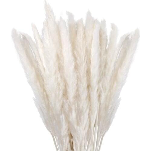 Dried Pampas Grass Decor Small Fluffy 30 Pcs, 45CM Natural Dried Flowers White for Vase, Flower Bouquet Arrangement