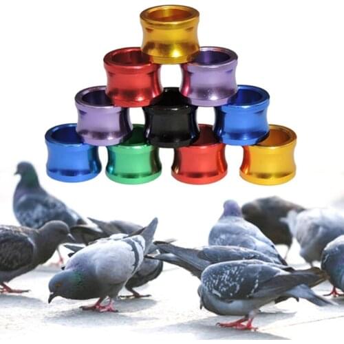 50Pcs Color Mixing Pigeon Bands Bird Foot Ring Species Identify Training Rings Pet Label Sign for Chick Poultry Pet Supplies